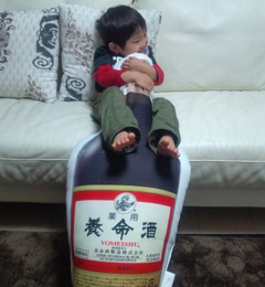 養命酒ジャンボ抱き枕のご感想