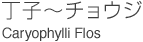 チョウジ／Caryophylli Flos