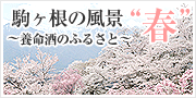 ����̕��i �t�H�g�A���o��