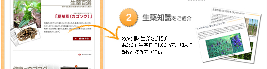 生薬知識をご紹介