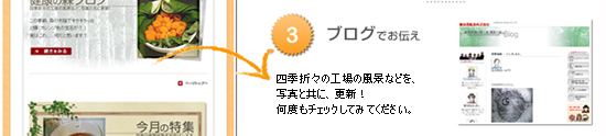 ブログでお伝え
