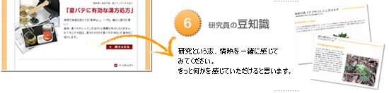 研究員の豆知識