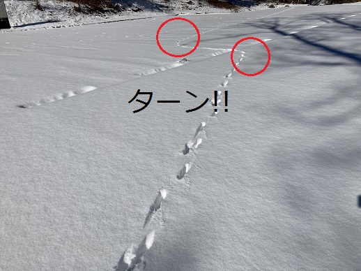 あしあと5 - コピー.JPG