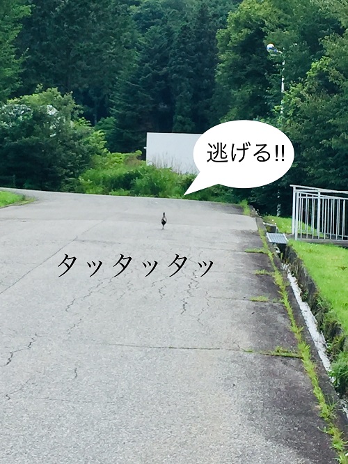 ブログ.jpg