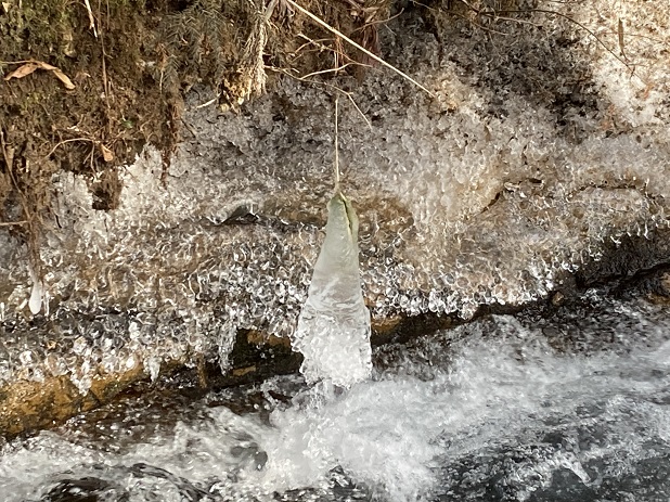 氷柱４.JPG