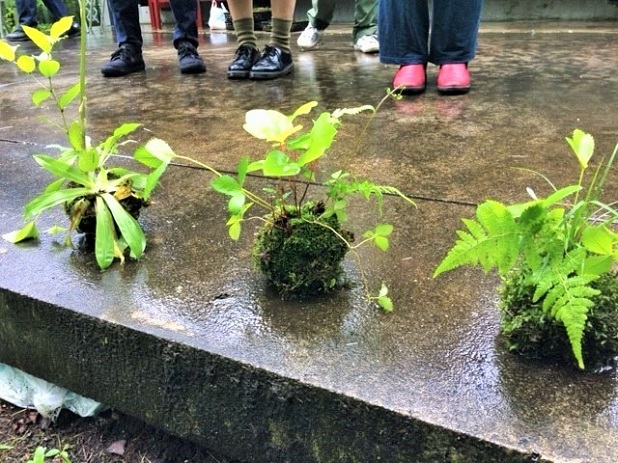 苔玉③.jpg