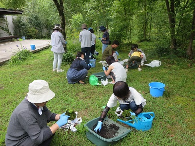 苔_2521.jpg