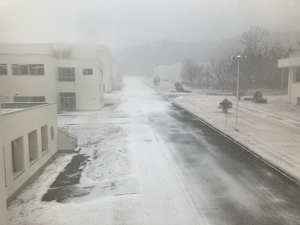 雪２.JPG
