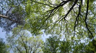 20100517_04a.jpg