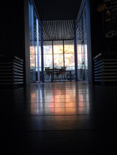 20101118_02a.jpg