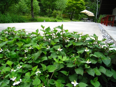 20150701_22.JPG