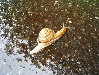 20150709_02.JPG