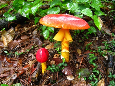 20150709_03.JPG