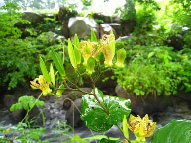 20150709_21.JPG
