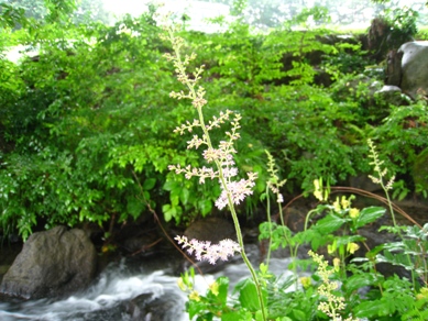 20150709_22.JPG