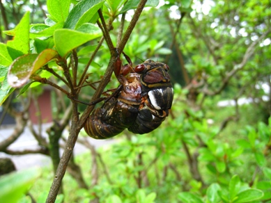 20150709_31.JPG
