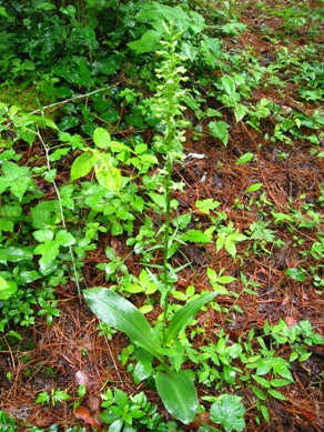 20150709_41.JPG