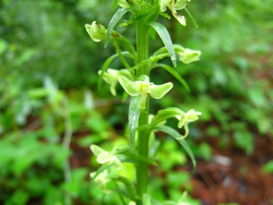 20150709_42.JPG