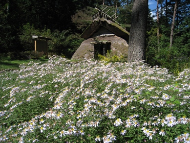 20151002_01.JPG