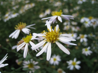20151002_02.JPG