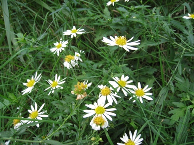 20151002_03.JPG