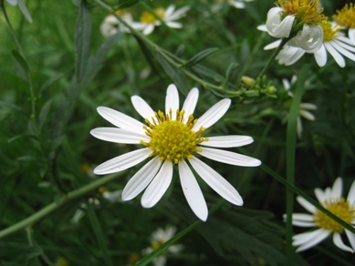 20151002_04.JPG