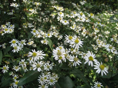 20151002_05.JPG