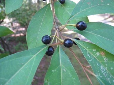 20151010_01.JPG