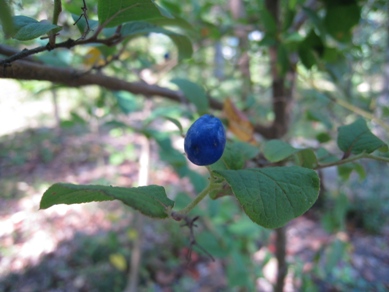 20151010_03.JPG