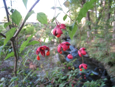 20151014_02.JPG