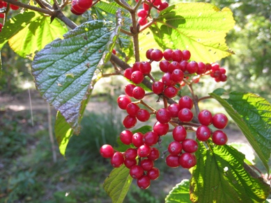 20151014_03.JPG