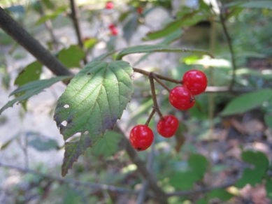 20151014_04.JPG