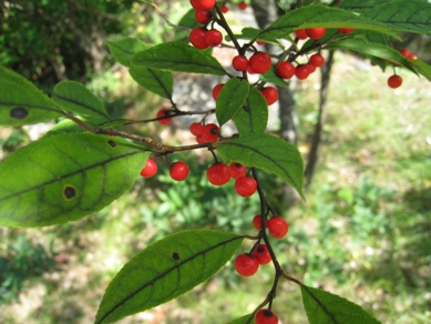 20151014_05.JPG