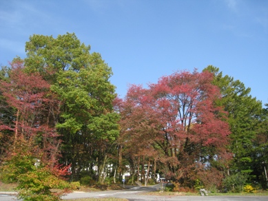 20151022_02.JPG
