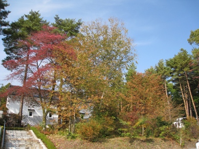 20151022_03.JPG
