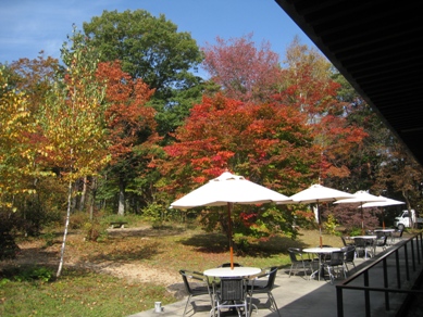 20151022_04.JPG