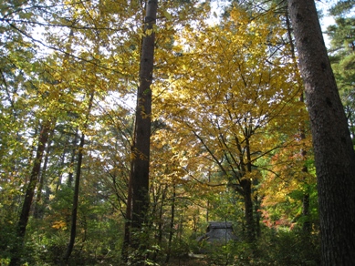 20151022_06.JPG
