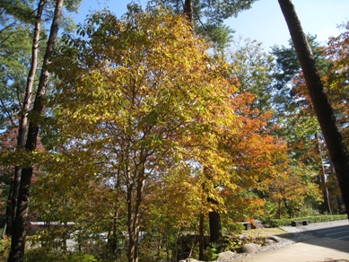 20151022_08.JPG