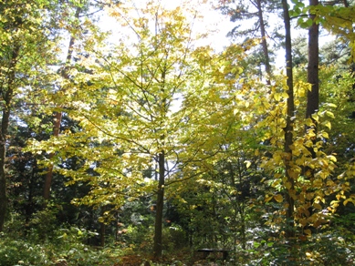20151022_09.JPG