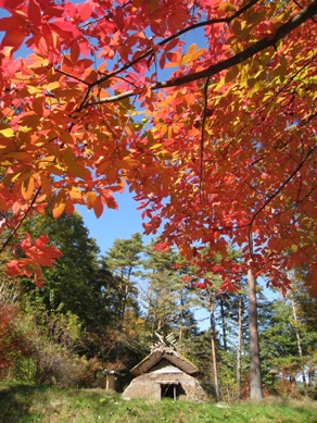 20151106_02.JPG