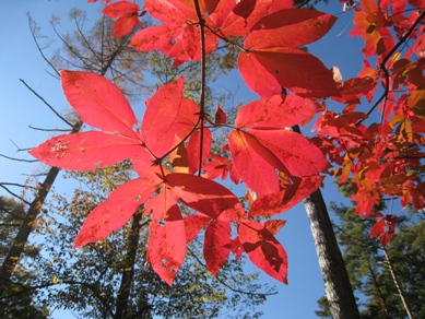 20151106_03.JPG