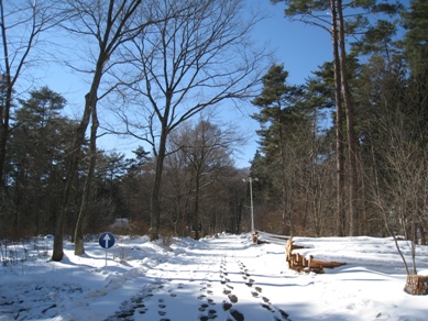 20160127_01.JPG