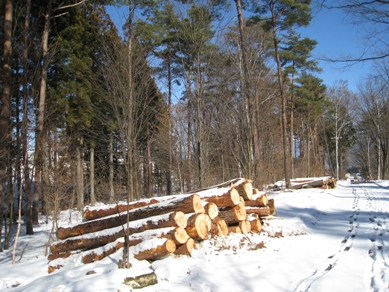 20160127_02.JPG