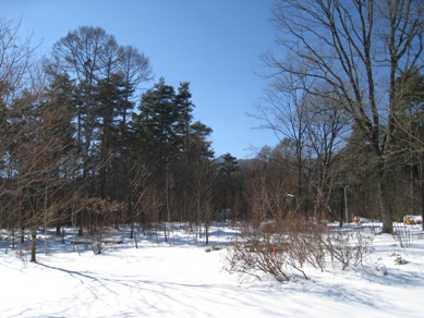 20160127_03.JPG