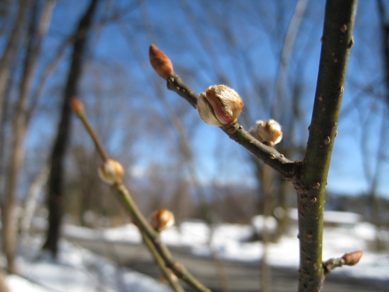20160127_11.JPG