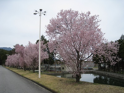 20160412_01.JPG