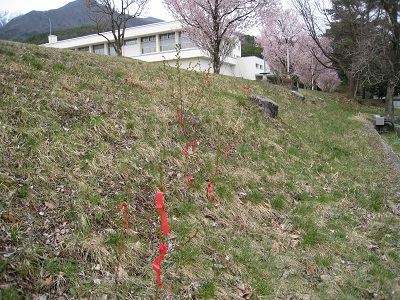 20160412_05.JPG