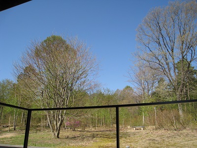 20160420_02-IMG_4759.JPG