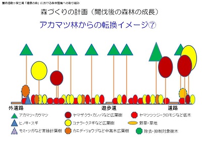 20160420_14-@森づくりの計画-7（間伐後の森林の成長）.jpg