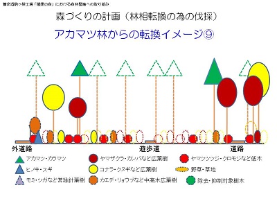 20160420_15-@森づくりの計画-9（林相転換の為の伐採）.jpg
